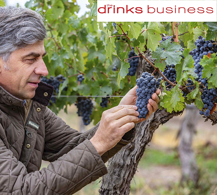 Don Melchor es ampliamente destacado por The Drinks Business