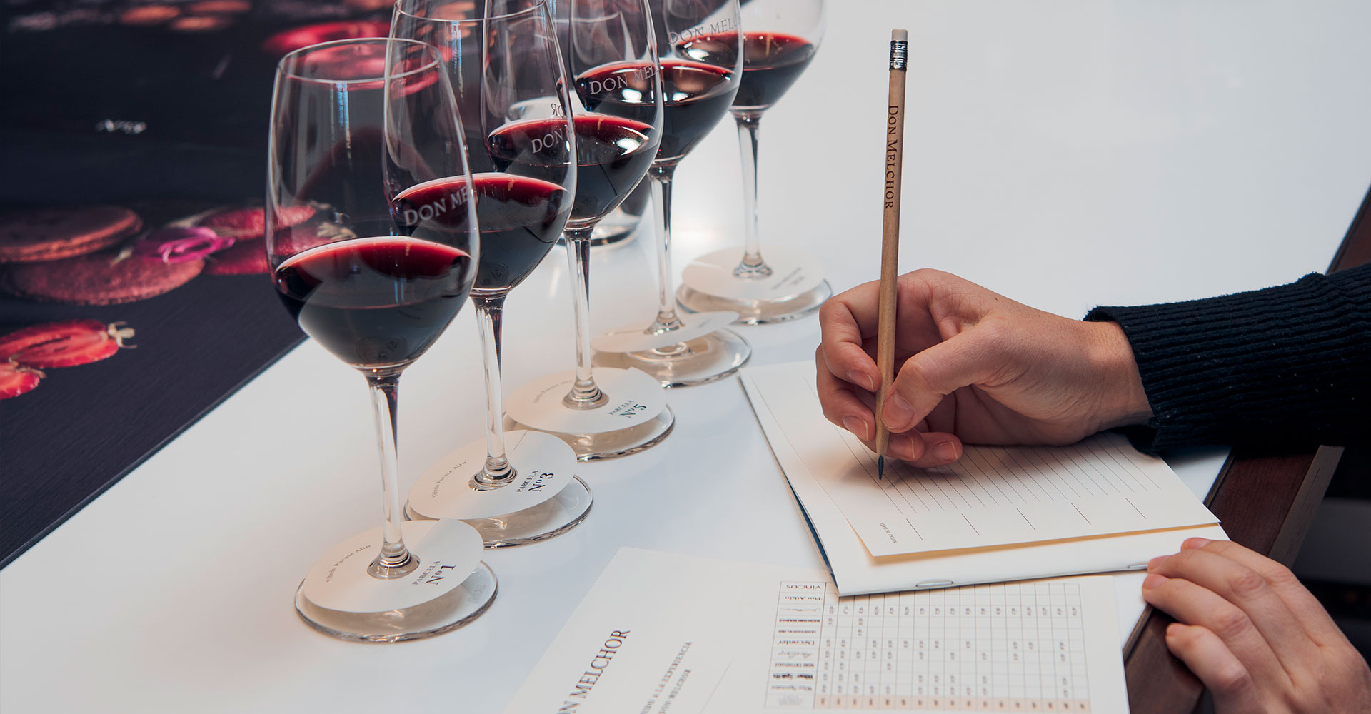 Nuevas Experiencias Don Melchor: momentos inolvidables en torno al vino