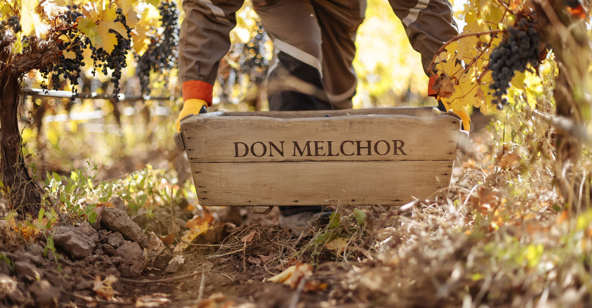 Armonía y elegancia, el sello de Don Melchor 2021