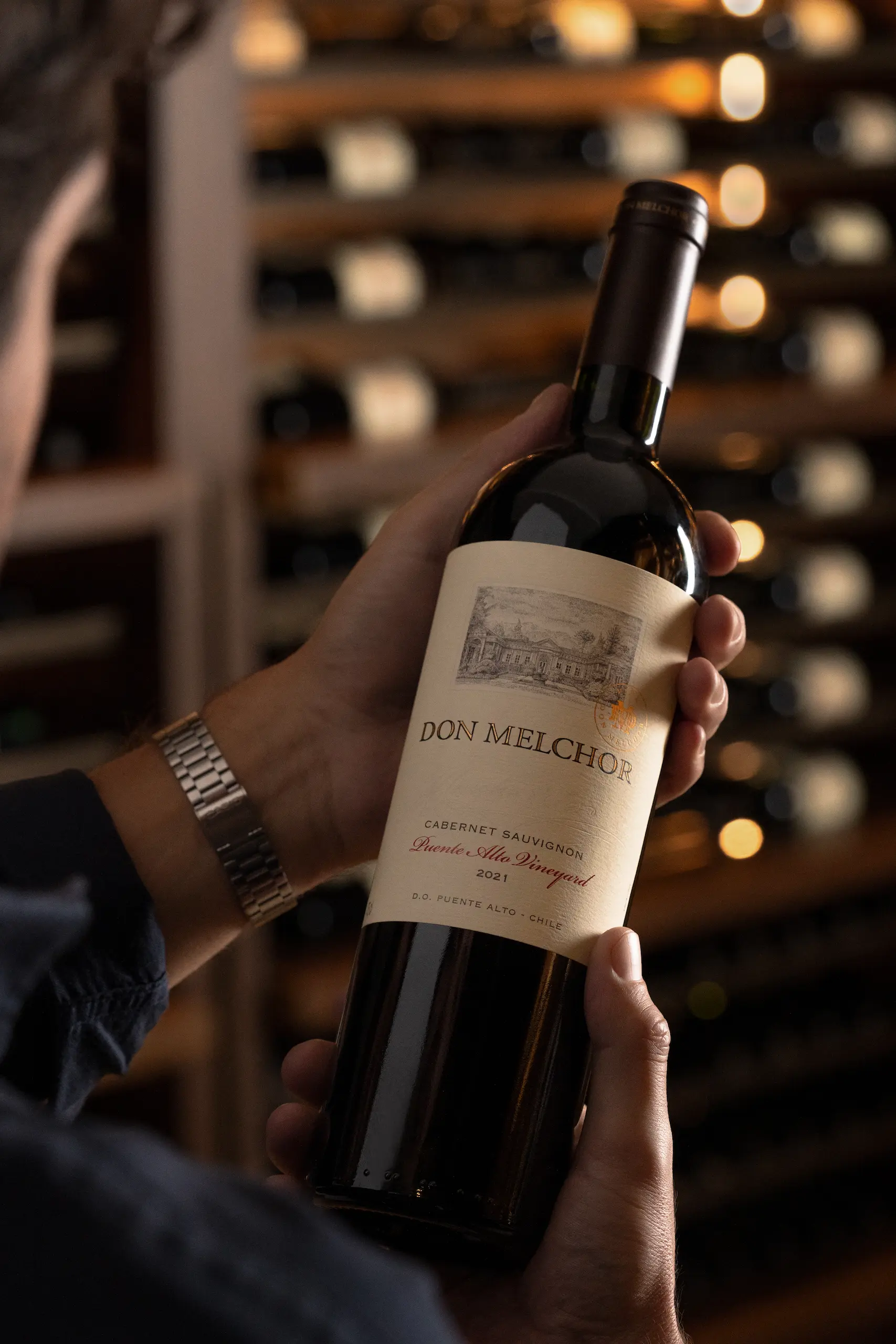 Don Melchor 2021: Top of the World